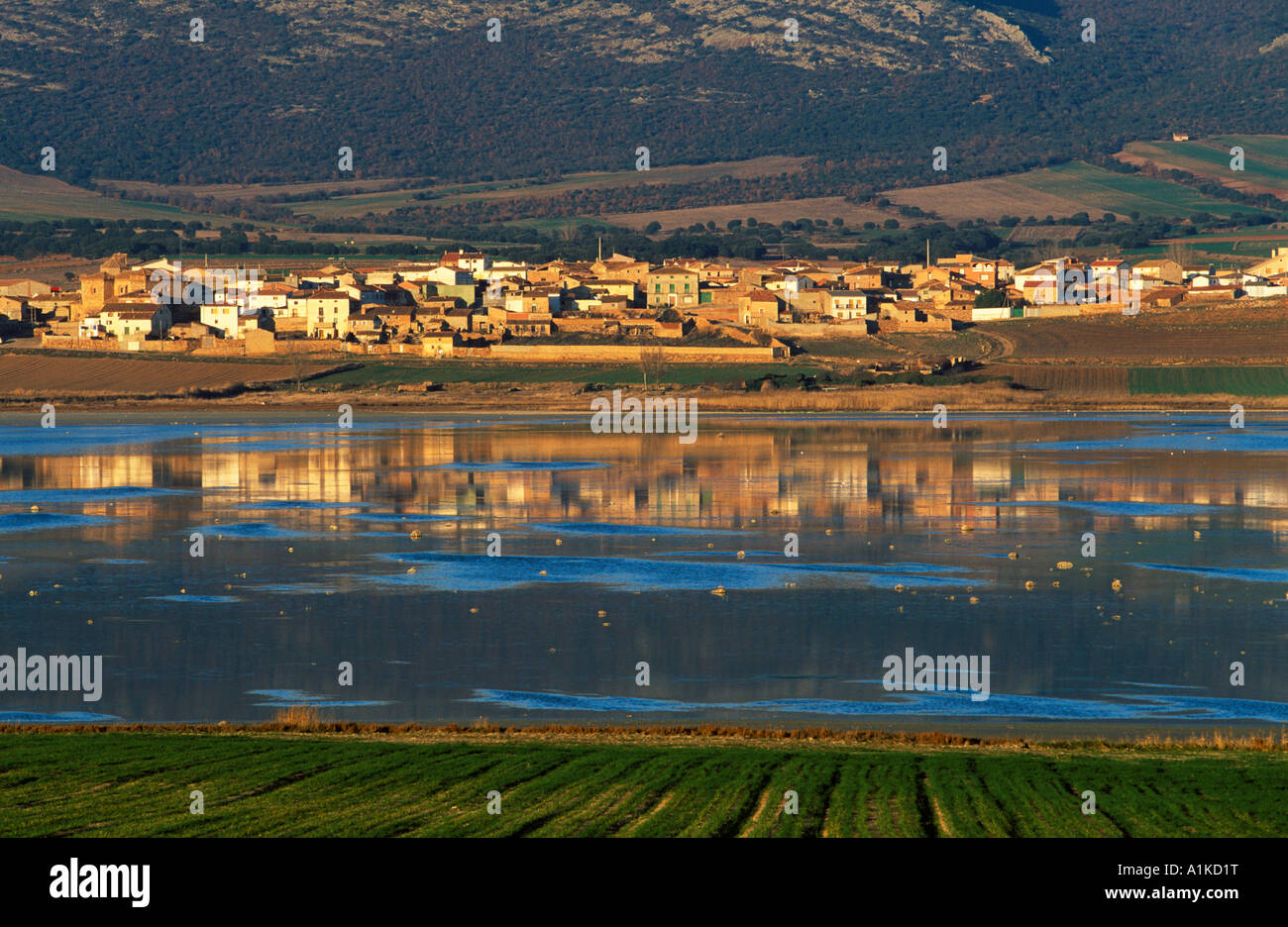 Gallocanta Laguna De Gallocanta Aragon Zaragoza Spain Stock Photo gallocanta-laguna-de-gallocanta-aragon-zaragoza-spain-stock-photo