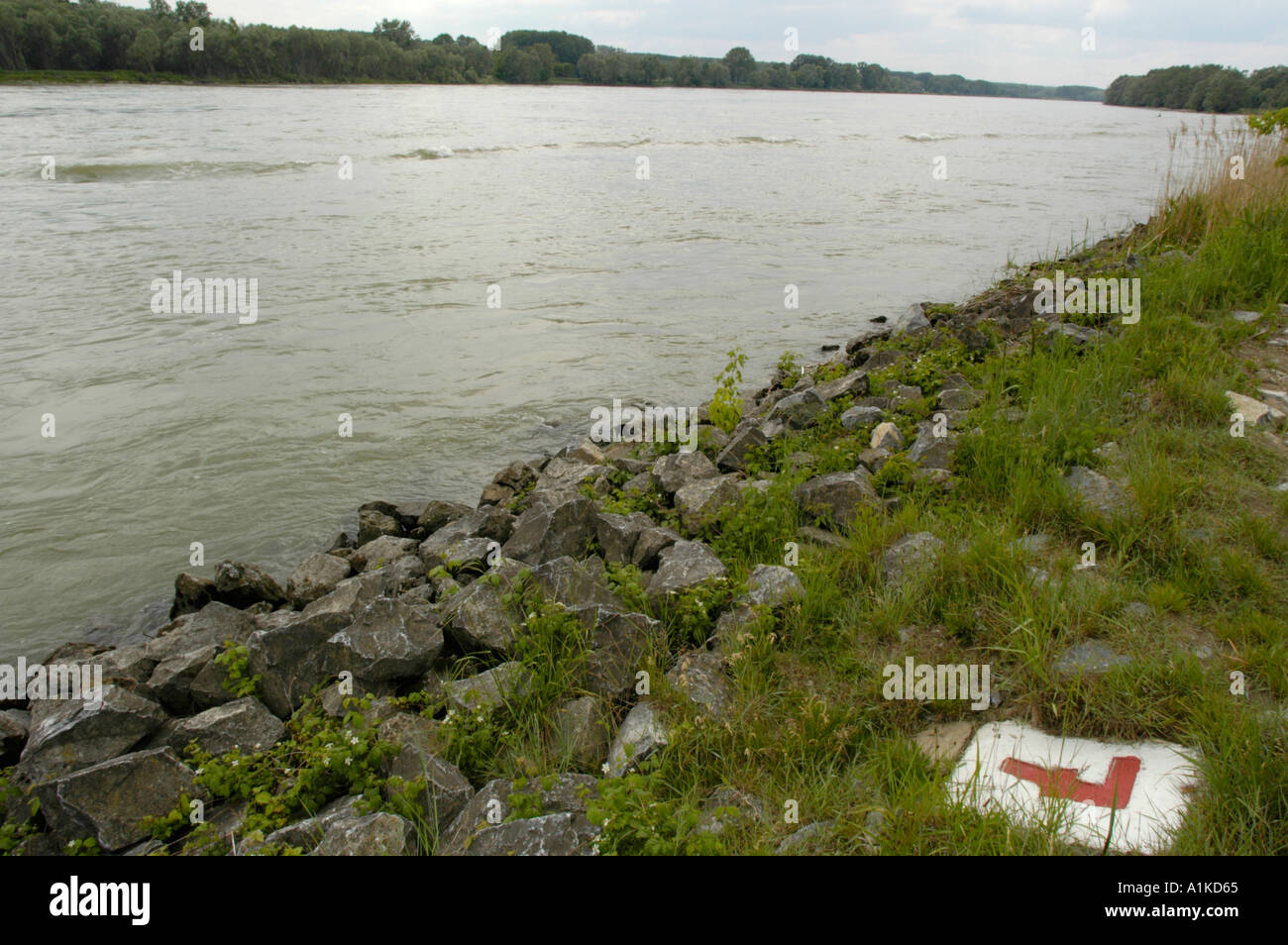 Schoenau at the Danube, riverside forests, riverside Stock Photo