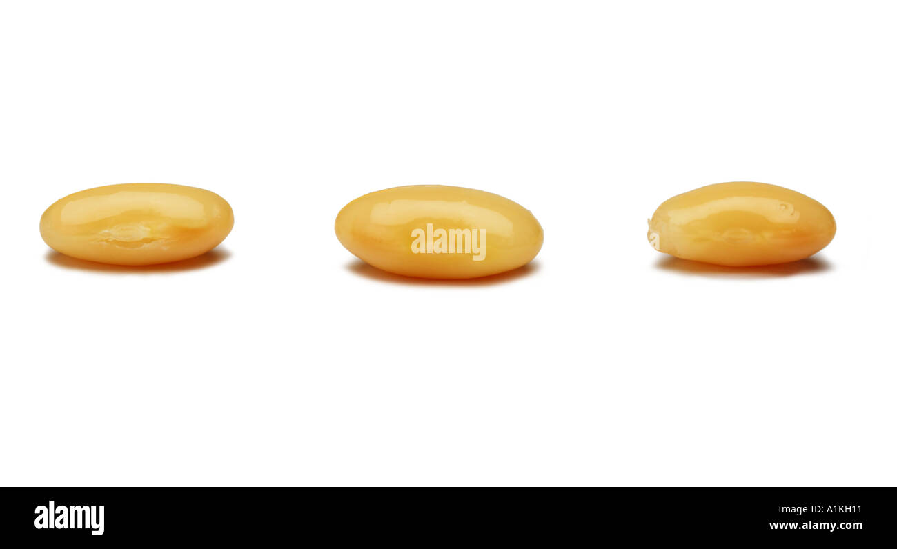 Three Beans Bean Counter concepts Stock Photo Alamy