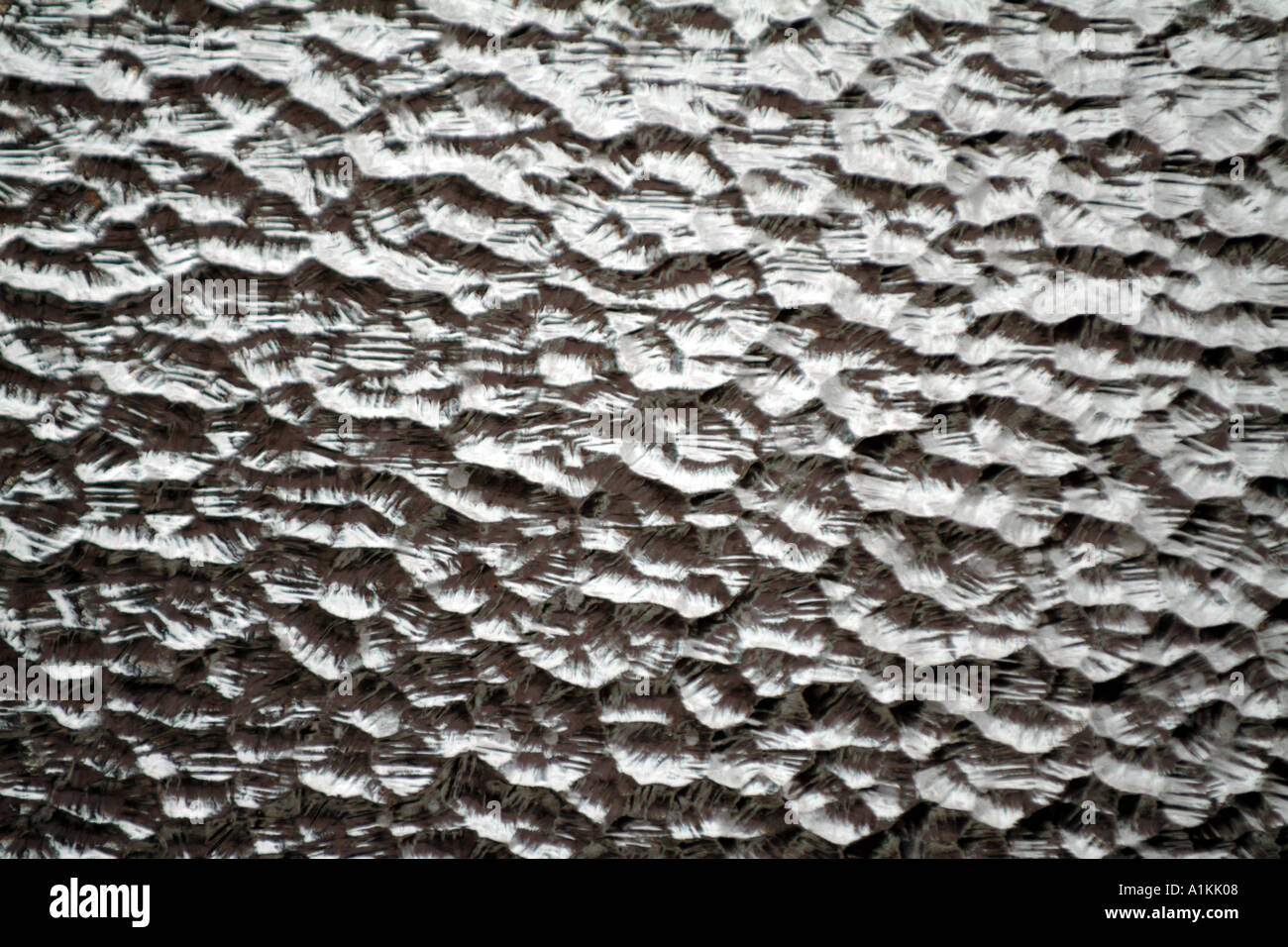 opaque glass window Stock Photo Alamy