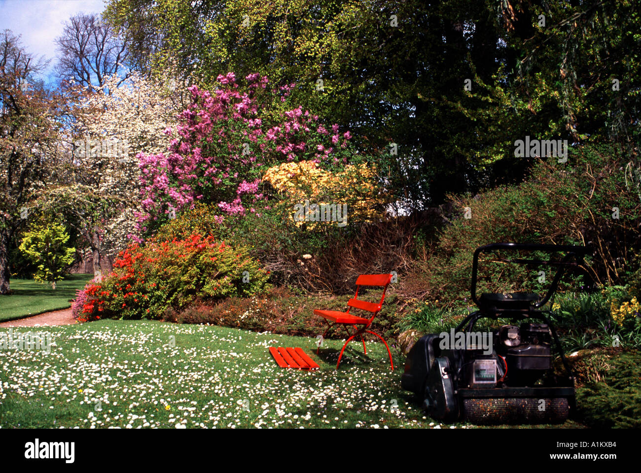 Old fashioned petrol lawn mower and 