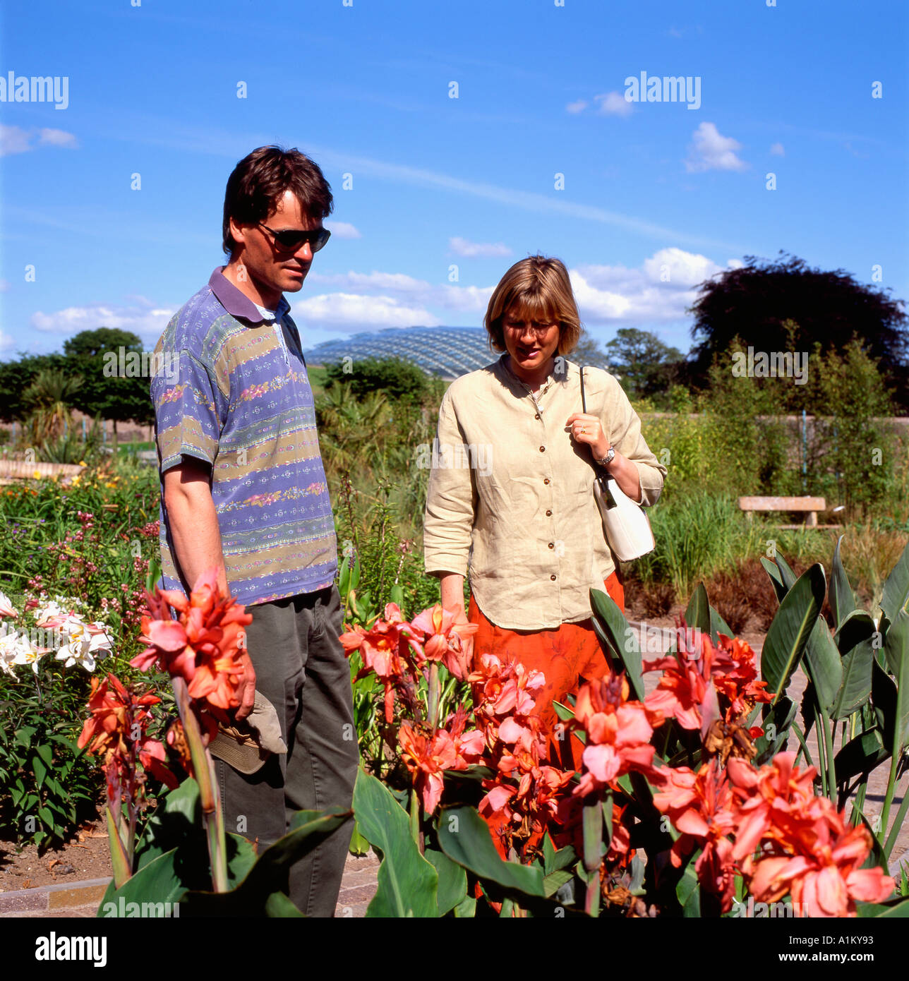 Visitors admire lilies at the National Botanic Gardens of Wales while looking at plants in the walled garden in Carmarthenshire Wales UK  KATHY DEWITT Stock Photo