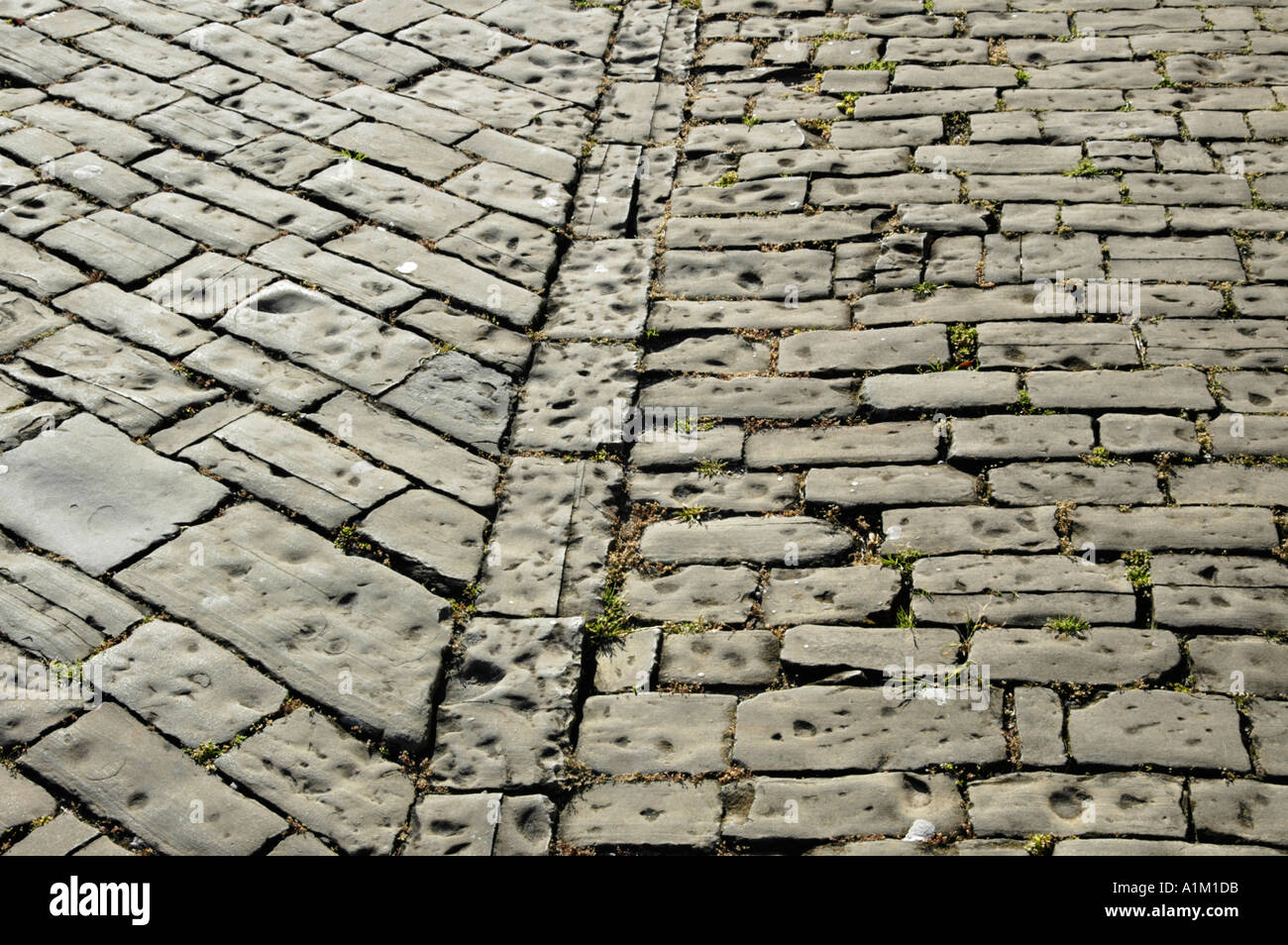 cobblestone pavement Stock Photo