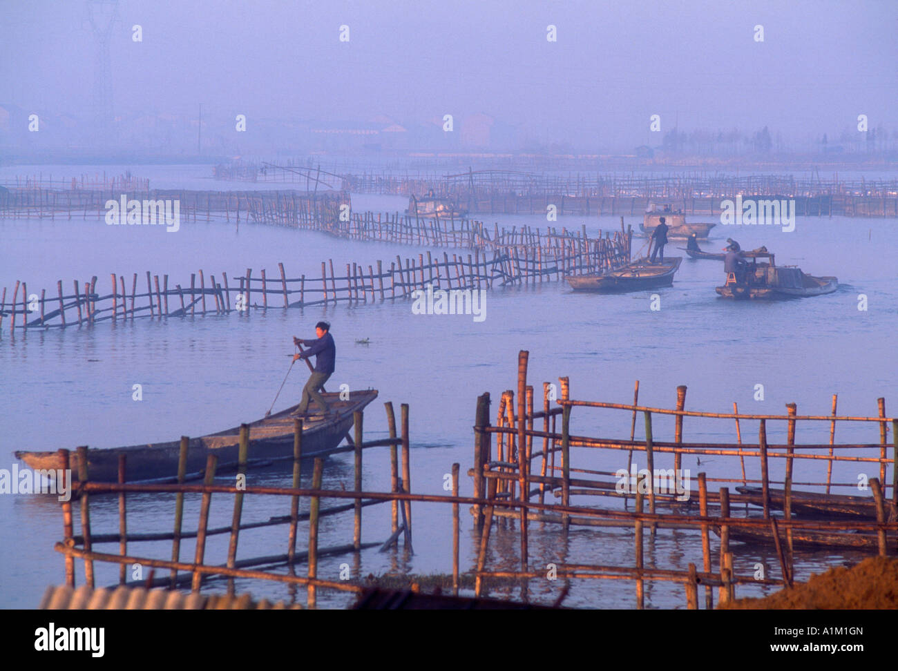 China Zhejiang Province Shaoxing bamboo fence for fish pool on the Grand Canal Stock Photo