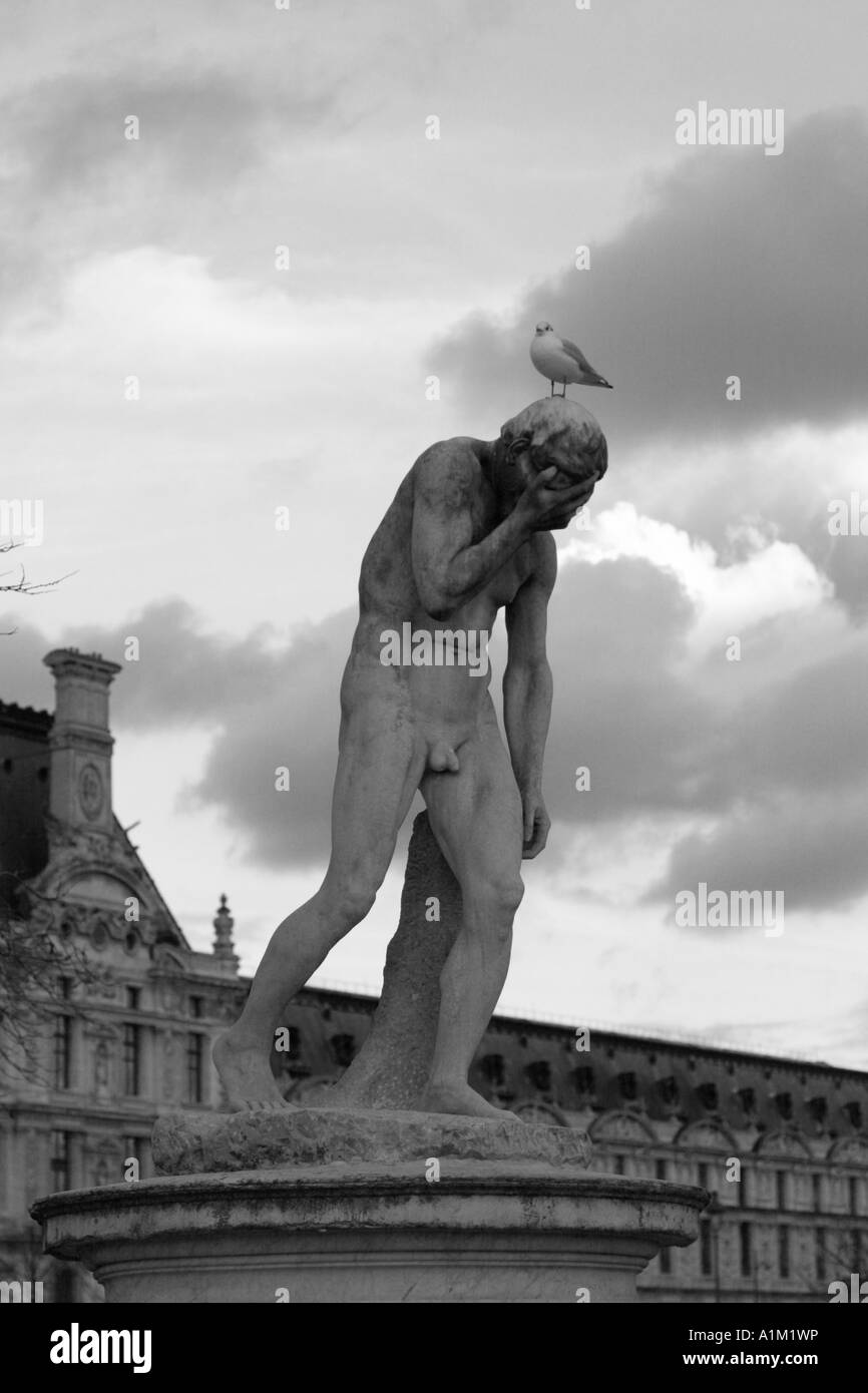 A bird on the head of Cain Stock Photo