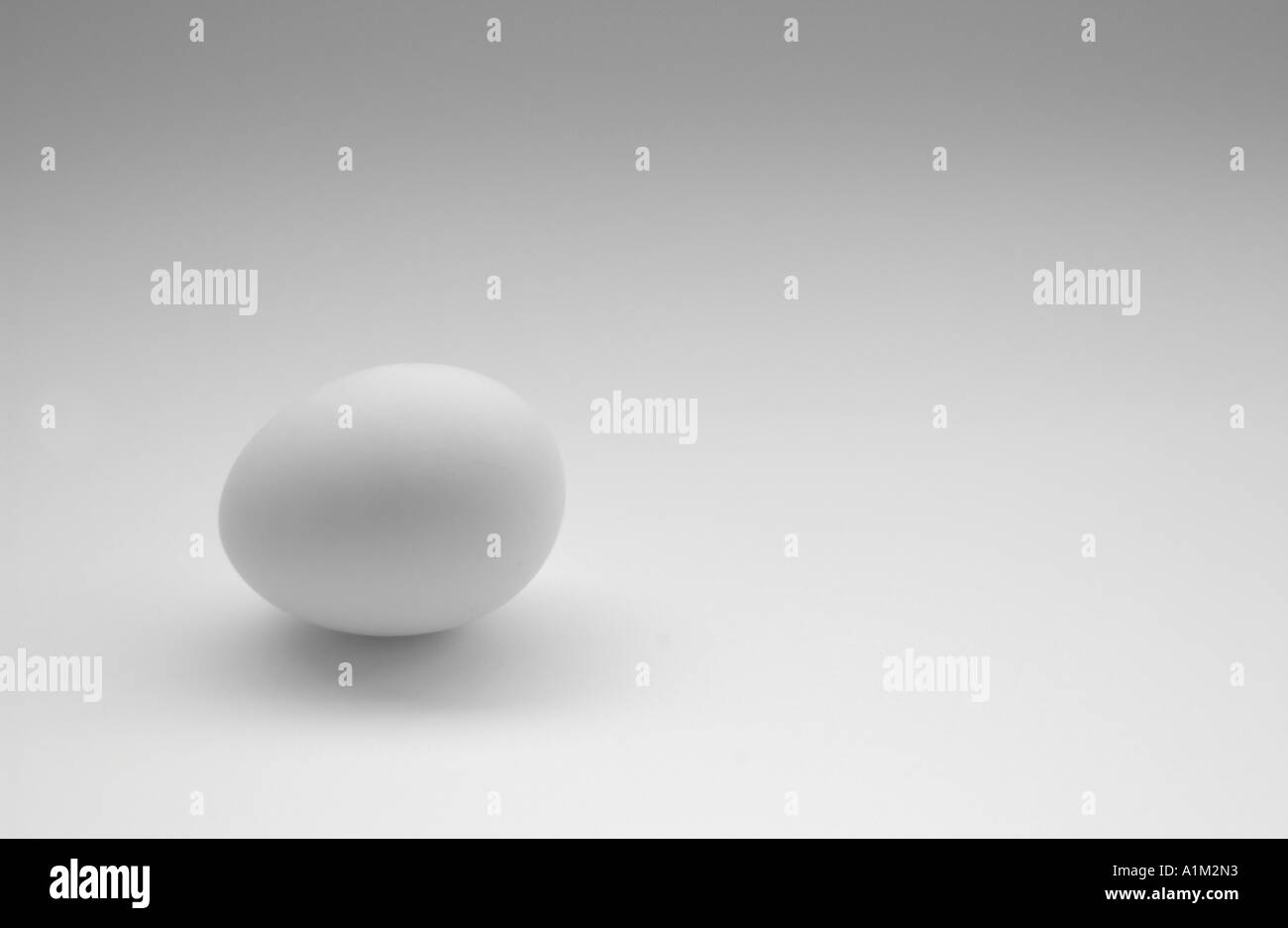 An egg on white seamless background paper Stock Photo