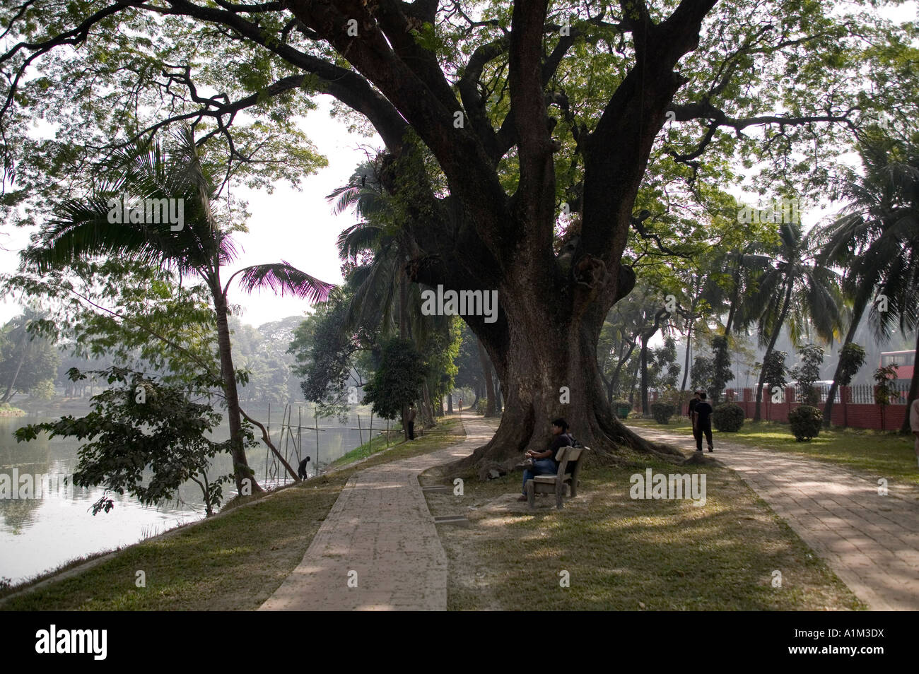 amateur in bangla park