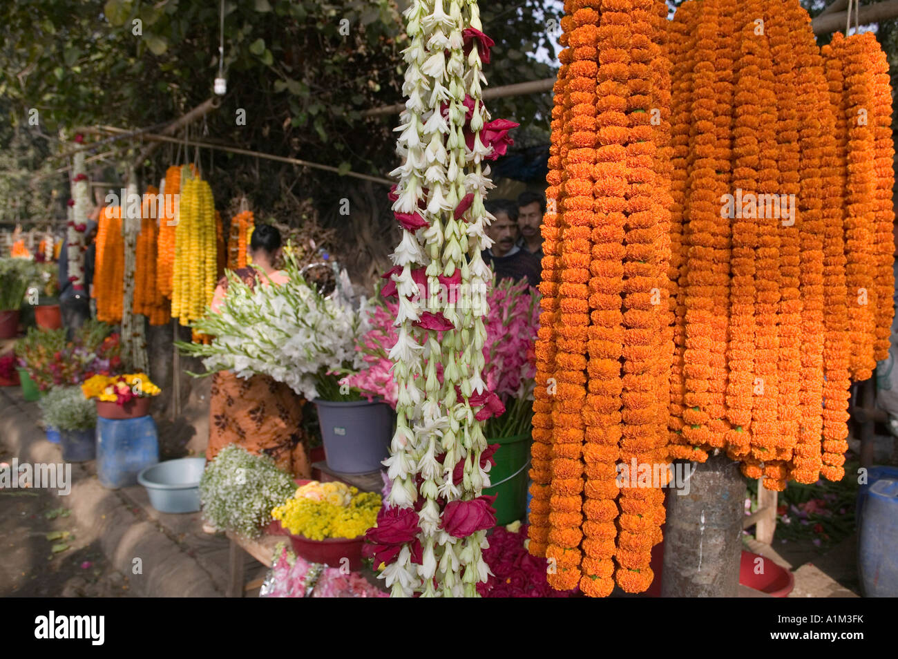 A variety of flowers for sale in the flower market in Dhaka Bangladesh