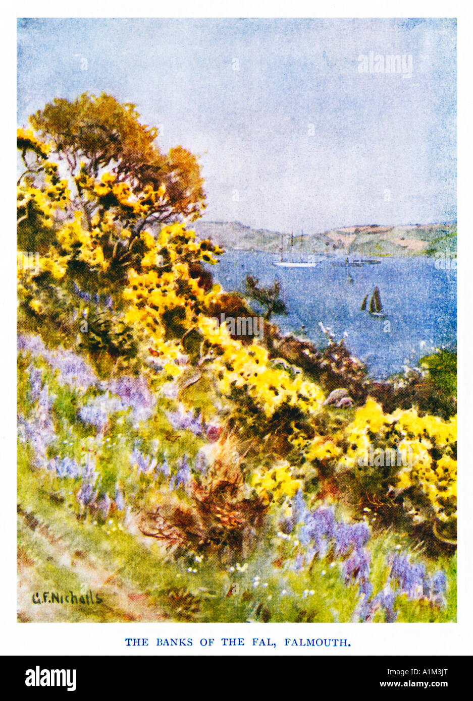 Watercolour flowers hires stock photography and images Alamy