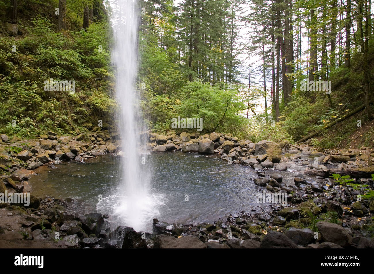 Moist Rivers Moist gorge environment hi-res stock photography and images - Alamy