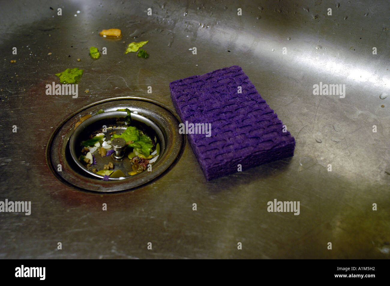 Dirty sink with bacteria infested sponge Stock Photo Alamy