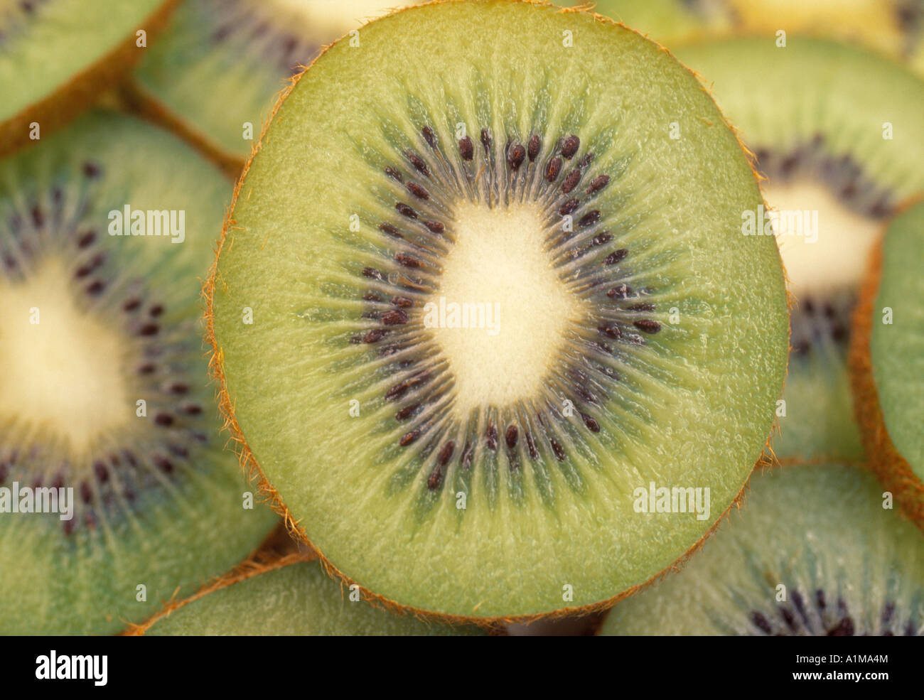 Kiwi fruit, New Zealand Stock Photo Alamy