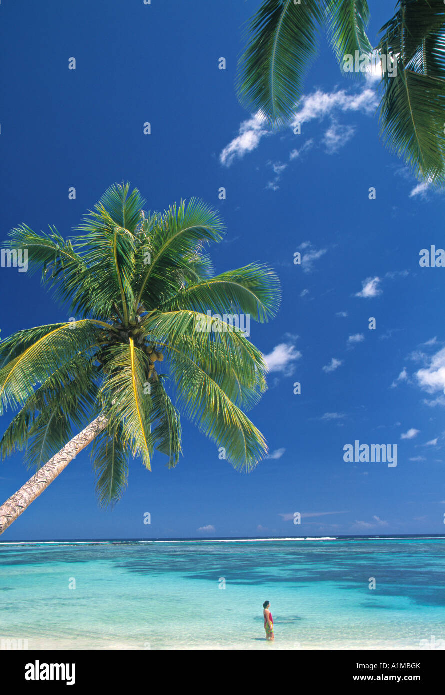Return to Paradise Beach, Upolu Island, Samoa Stock Photo: 10289970 - Alamy