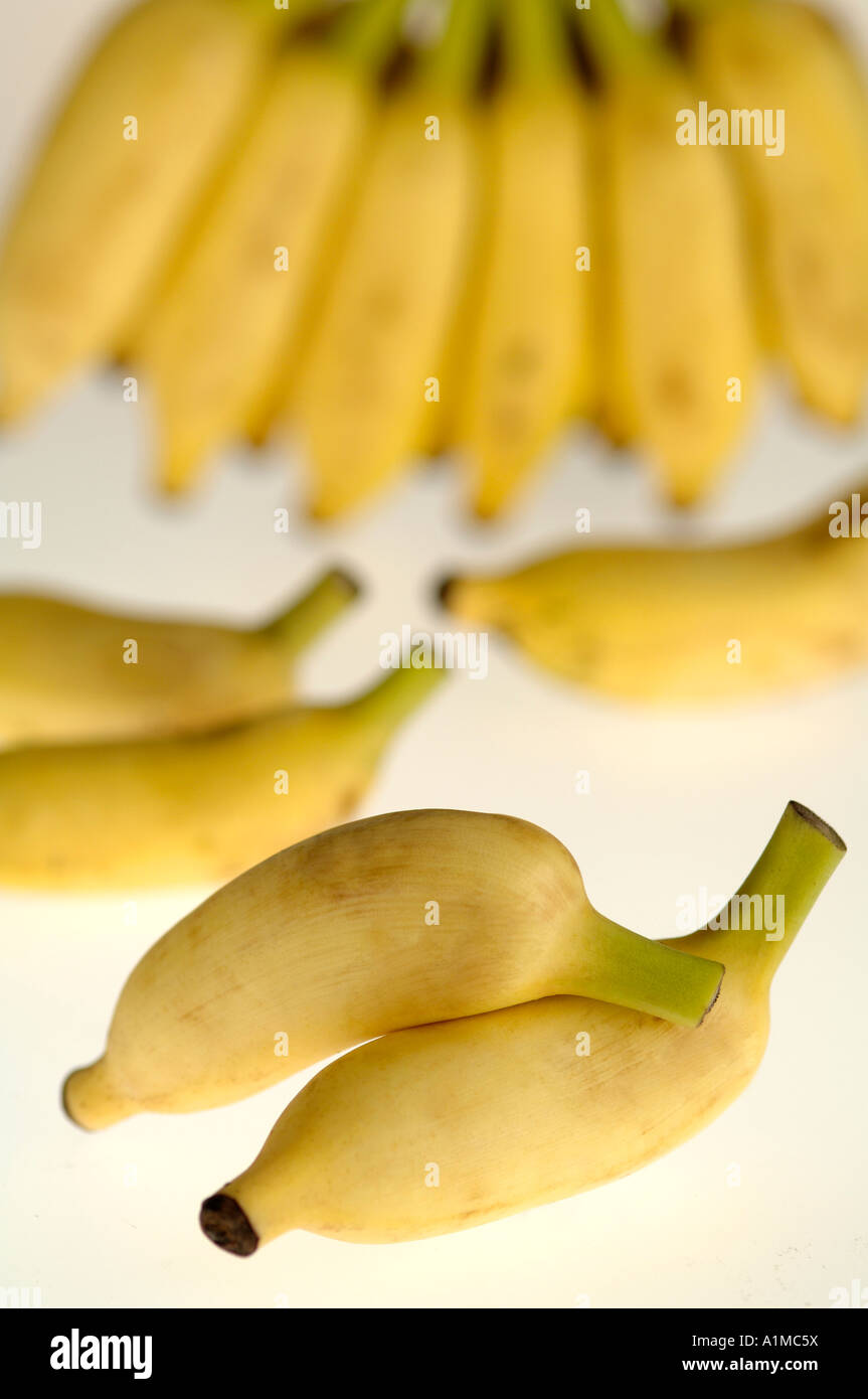 Five Photographs Of Banana In Seach Of >> Hma210017 Fruit One Banana Bunch And Five Loose Banana With White Five Photographs Of Banana In Seach Of >> Hma210017 Fruit One Banana Bunch And Five Loose Banana With White