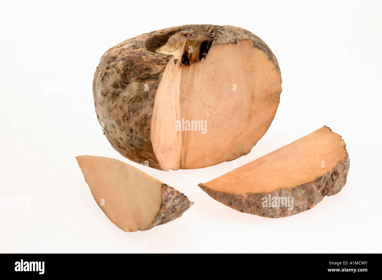 Elephant Foot Yam with white background Stock Photo Alamy