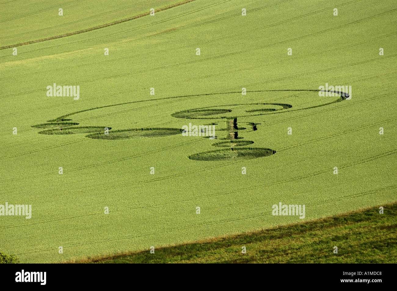 Crop Circle at East Field nr Alton Barnes Wiltshire Reported 20th June 2004 Stock Photo