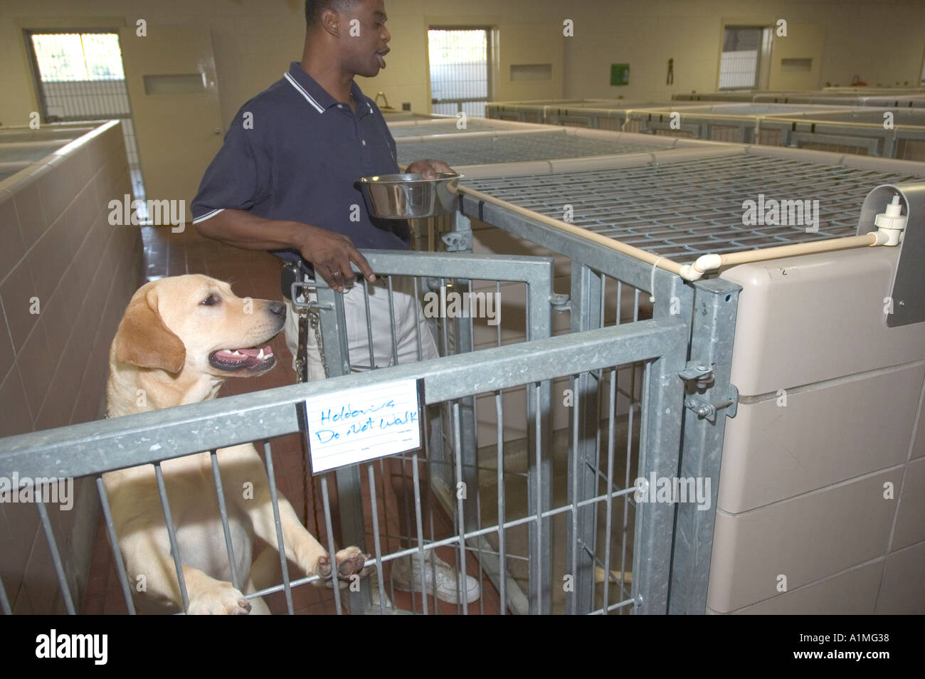 In the kennel of Leader Dogs for the blind Rochester Michigan USA a