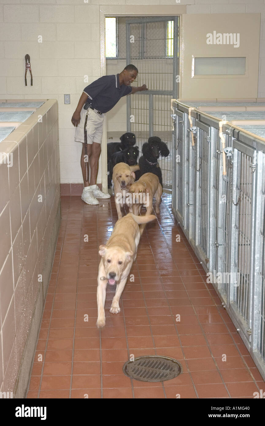 Kennel and run hires stock photography and images Alamy