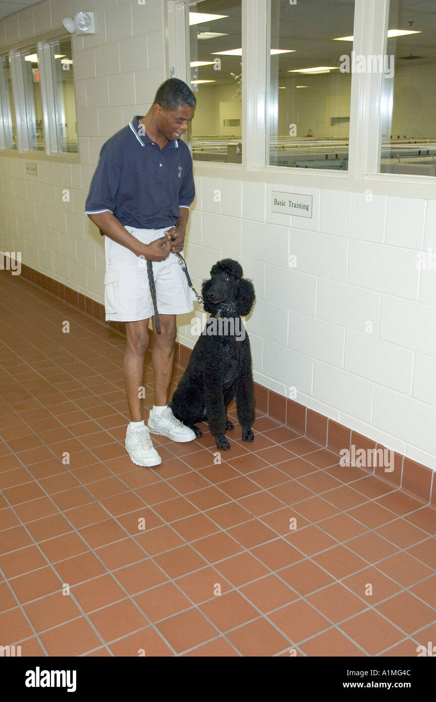 In the kennel of Leader Dogs for the blind Rochester Michigan USA a black male trainer works with black standard poodle in le Stock Photo