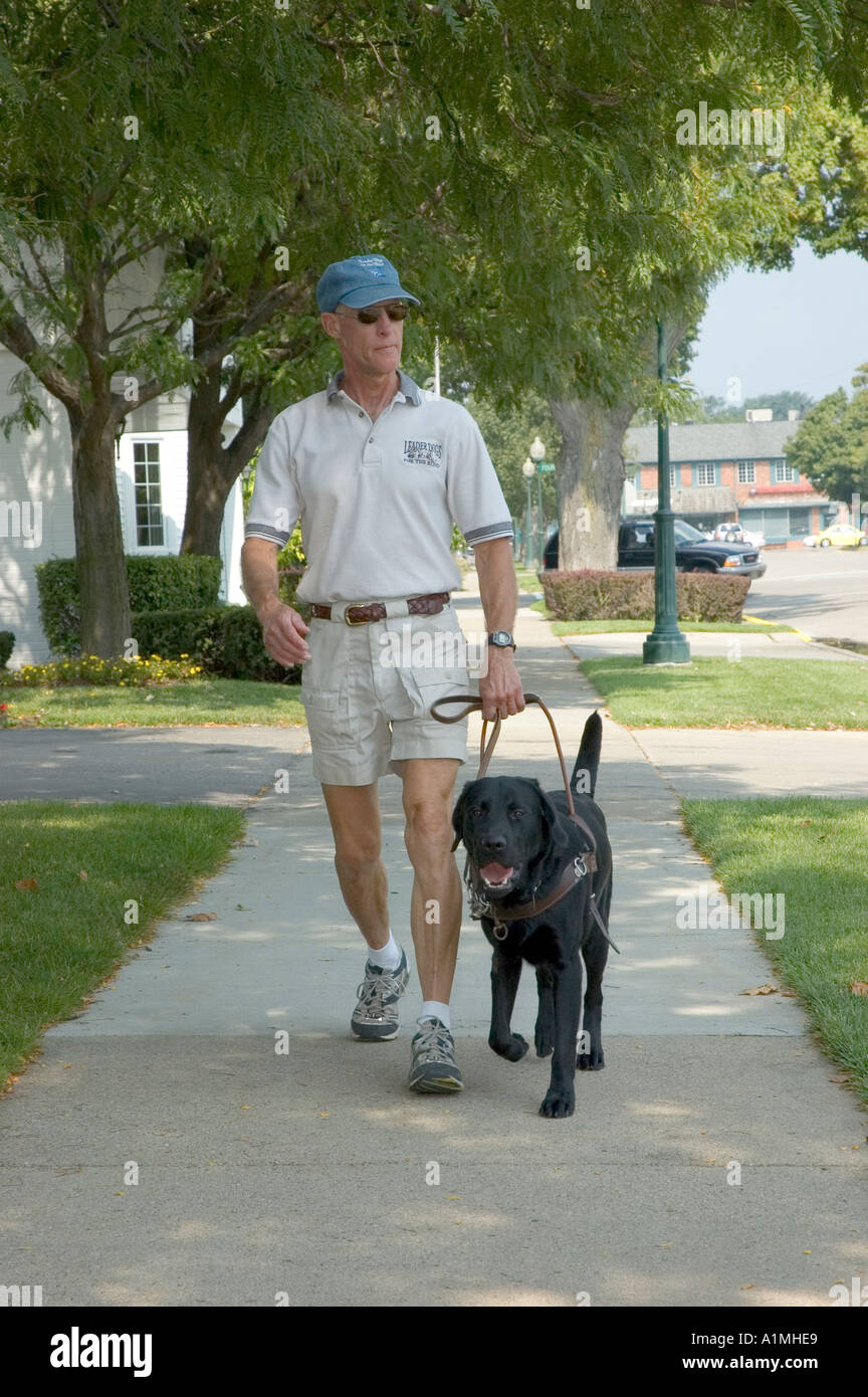 Outside of the Downtown Training Center of Leader Dogs for the blind