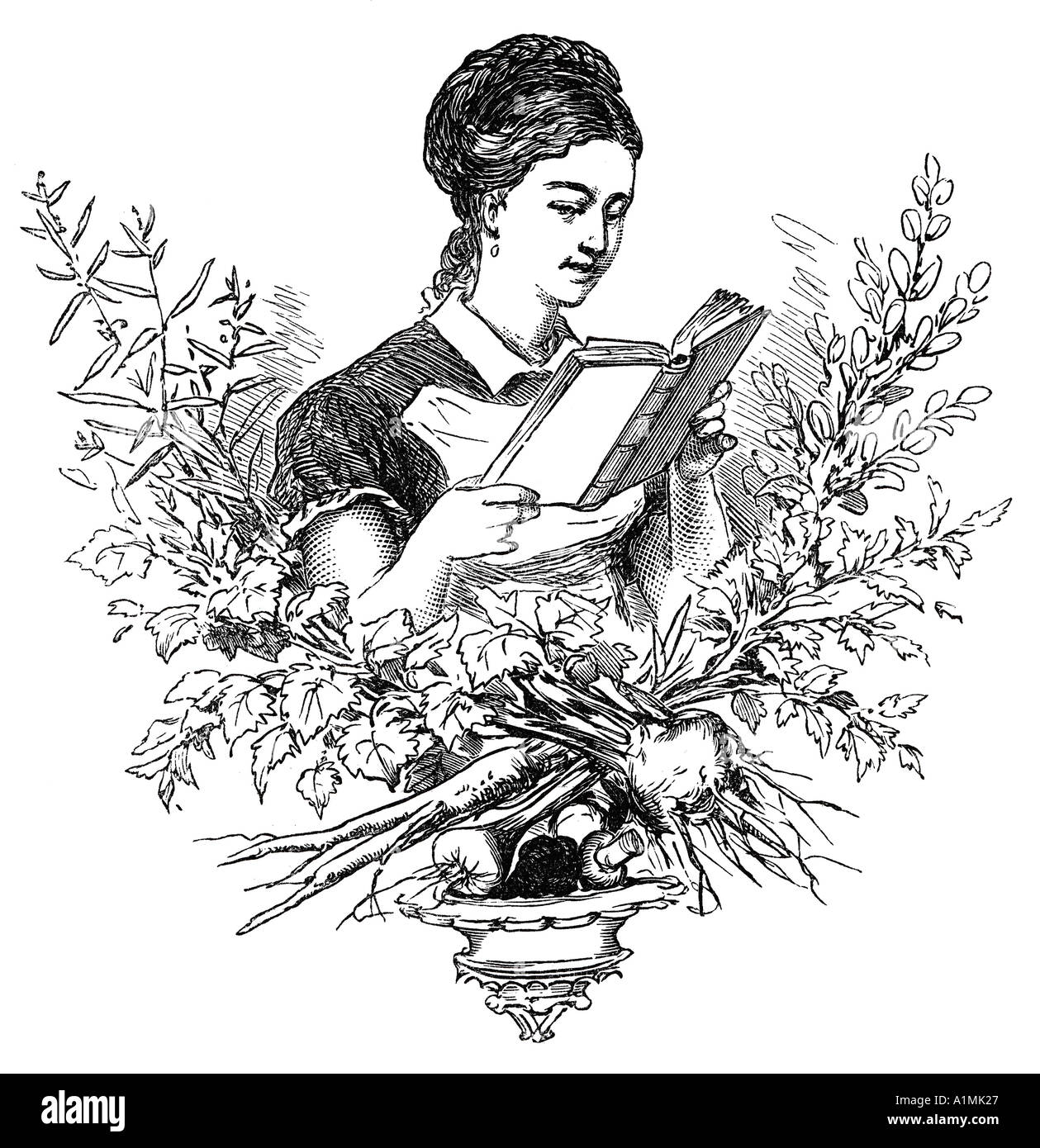 Woman with dictionary of cookery illustration Stock Photo