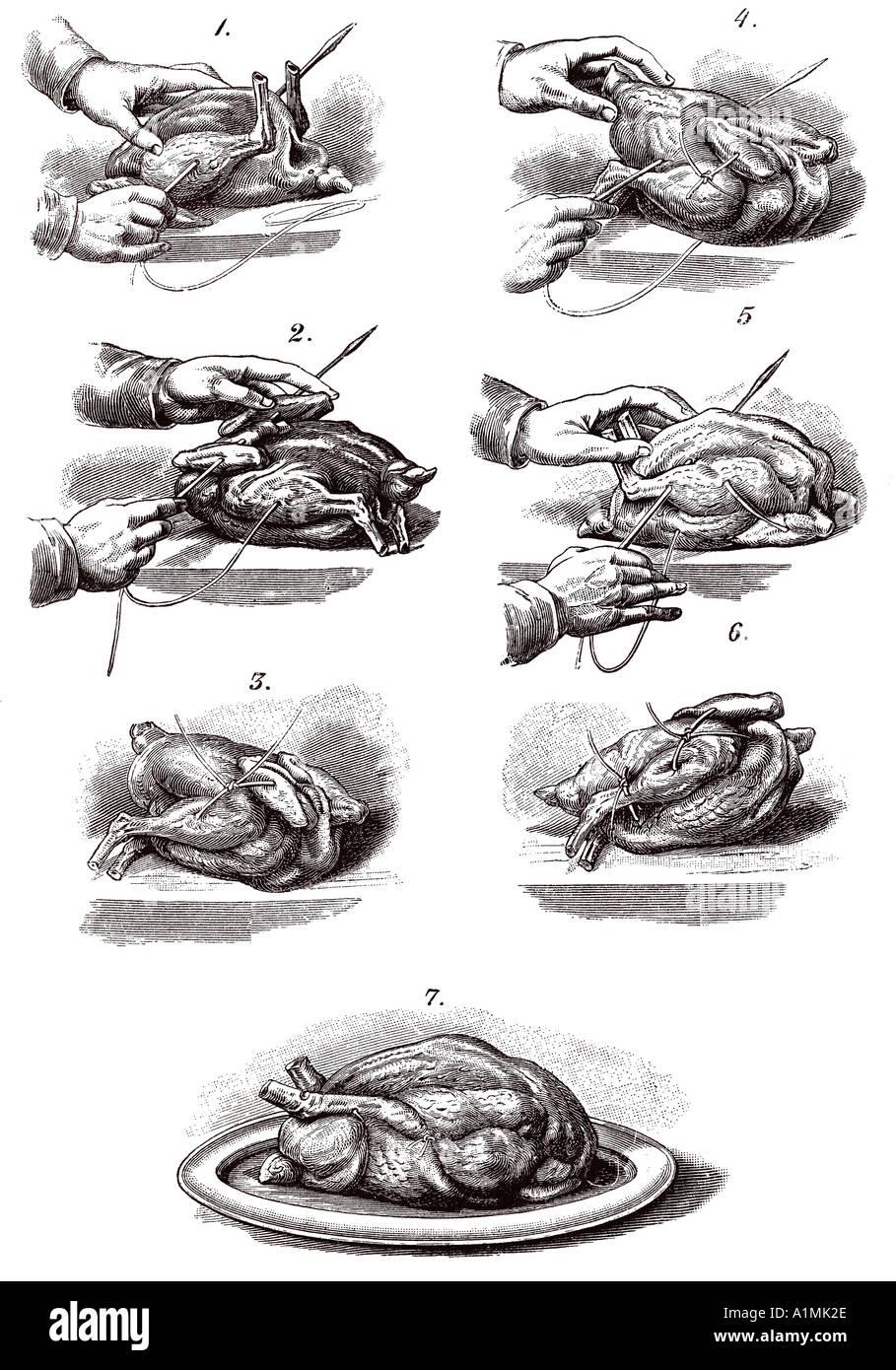 Trussing poultry illustration Stock Photo