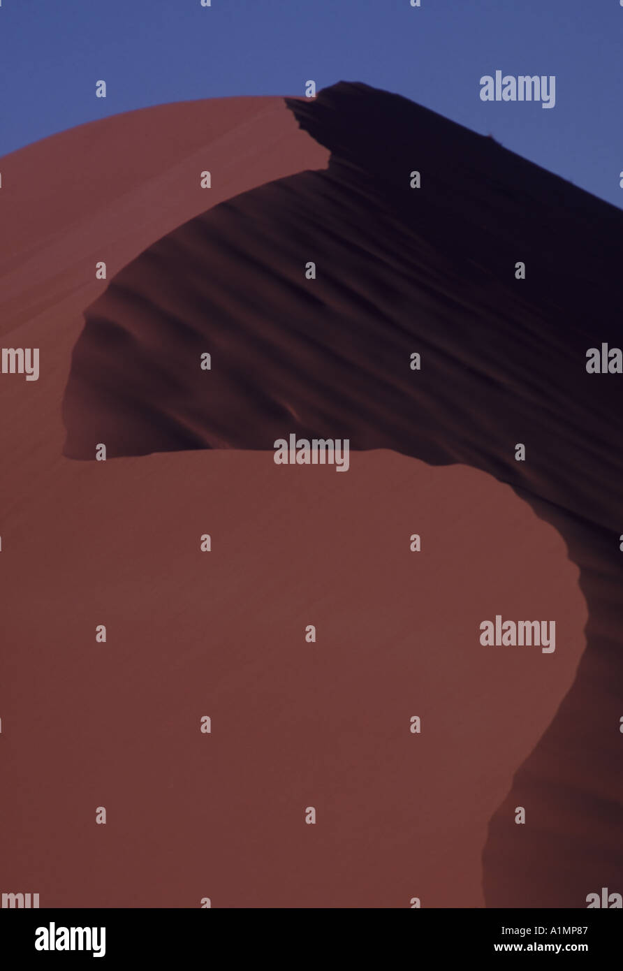 Namib intelligence overview