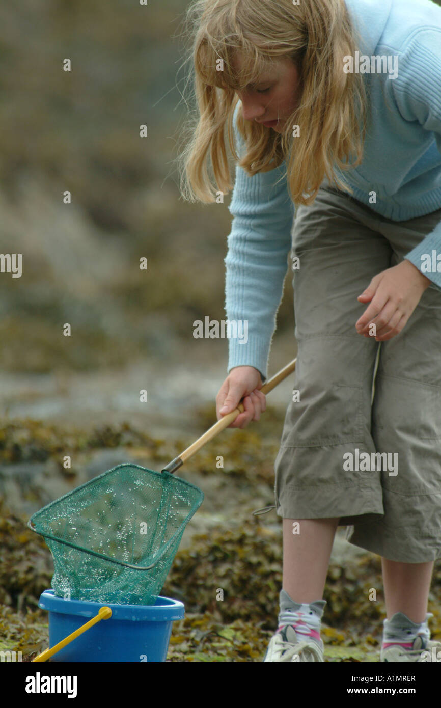 Rock pool net bucket hires stock photography and images Alamy