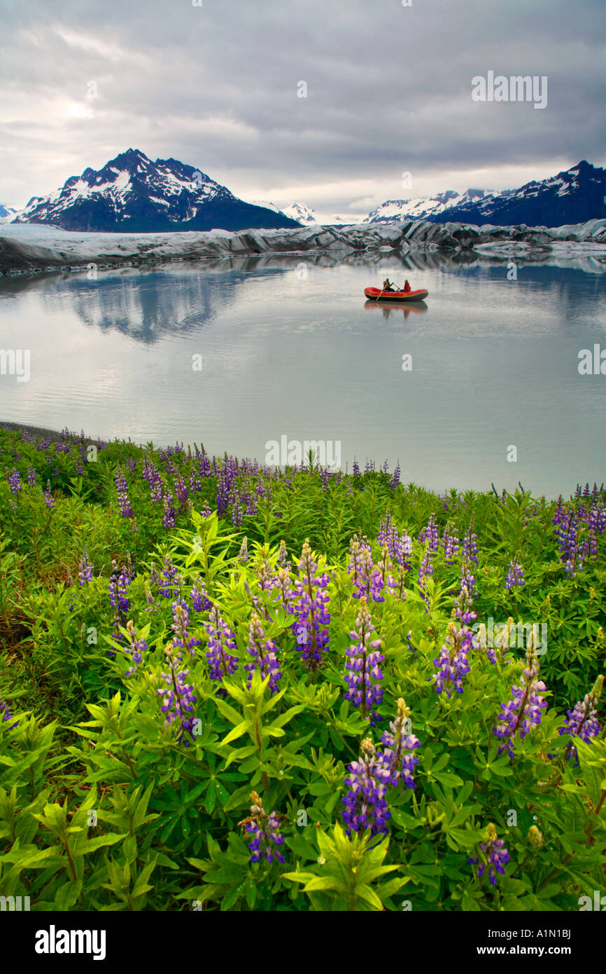 Rafting Sheridan Glacier Cordova Chugach National Forest Alaska Stock ...