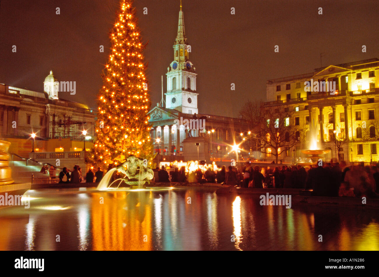Trafalgar Square Christmas Night London Stock Photo Alamy