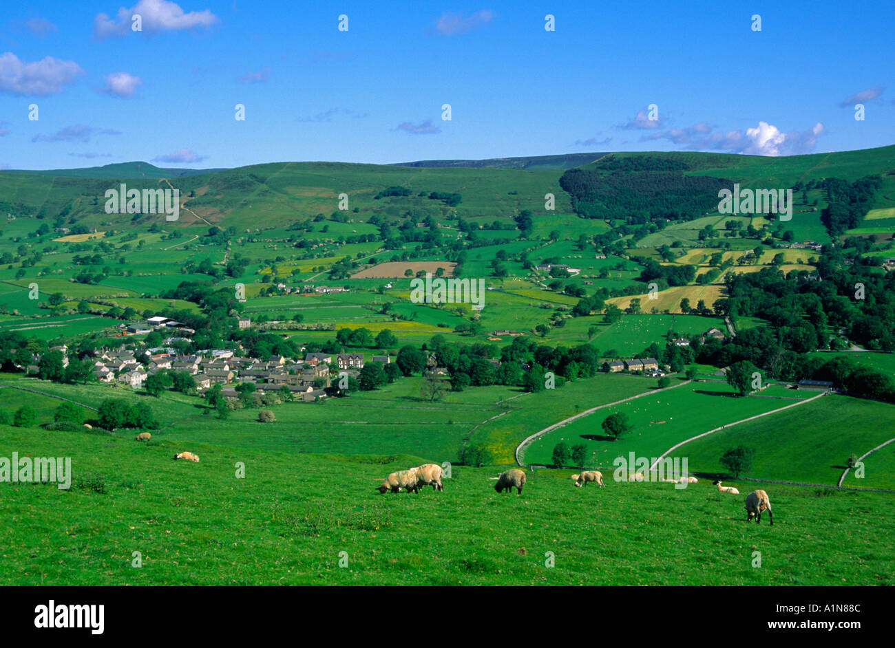 Sheep grazing above the village of Castleton in the Peak District