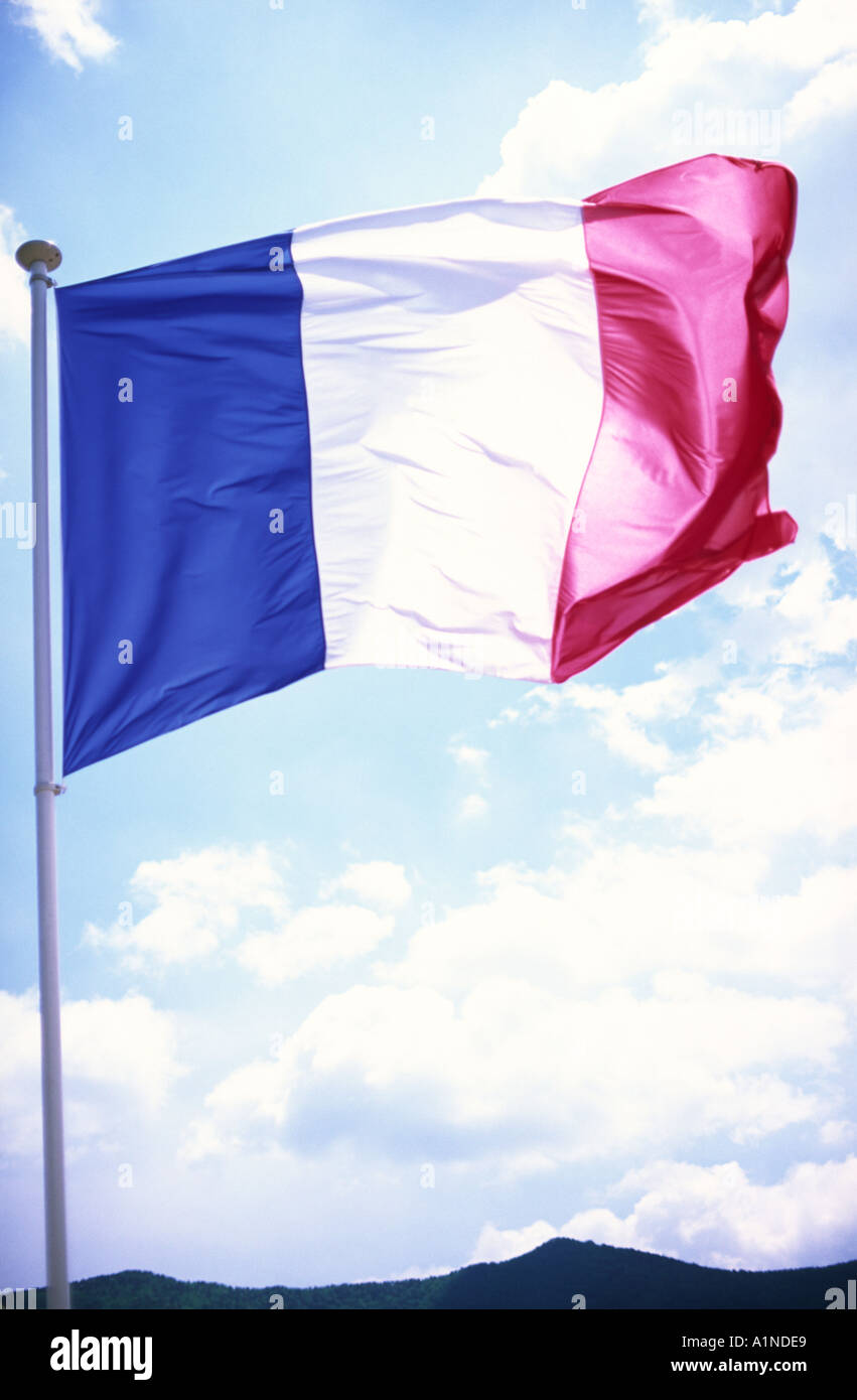 French flag blowing in the wind France Stock Photo Alamy