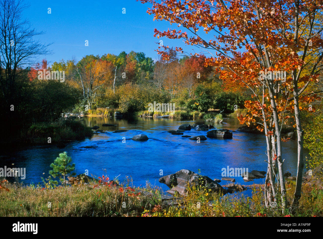 Fall colors in Nova Scotia Canada Stock Photo Alamy