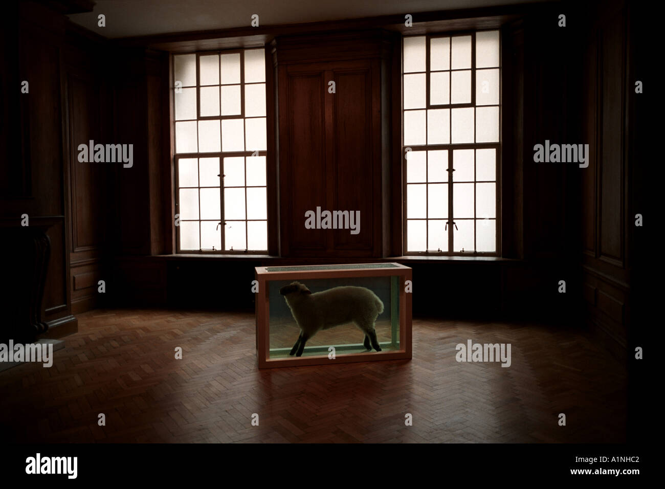 Damien Hirst Away From the Flock 1994 steel glass lamb formaldehyde solution Saachi Gallery London Stock Photo