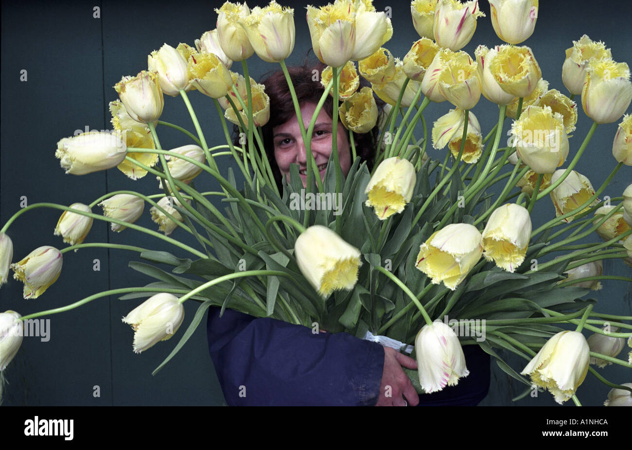Big happy smile woman hi-res stock photography and images - Alamy