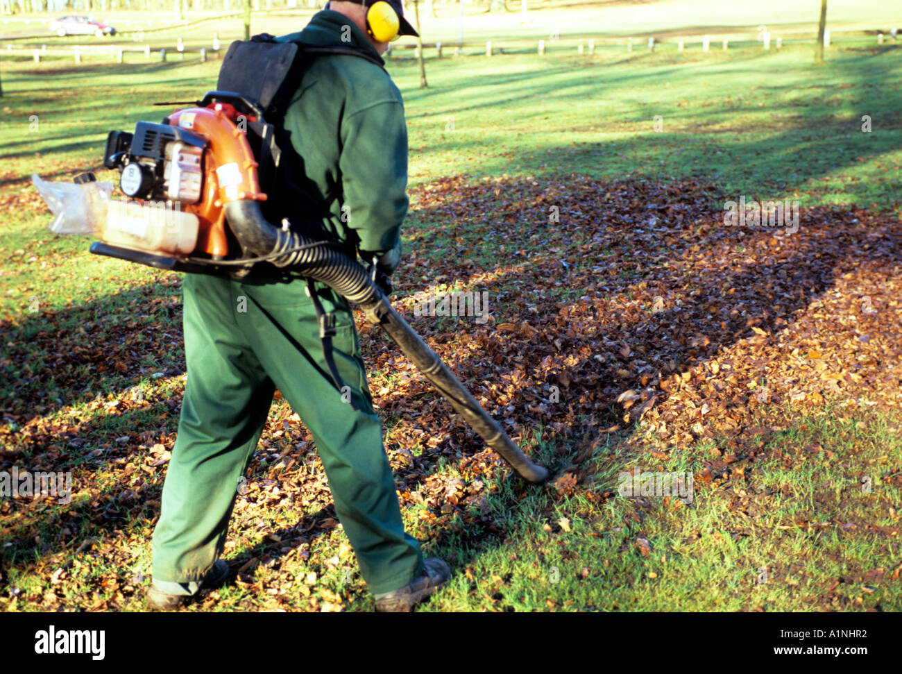 Worker clearing Leaves Stock Photo
