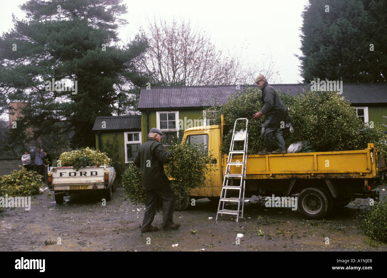 Buyers at the Leominster Holly and Mistletoe auction load their lots