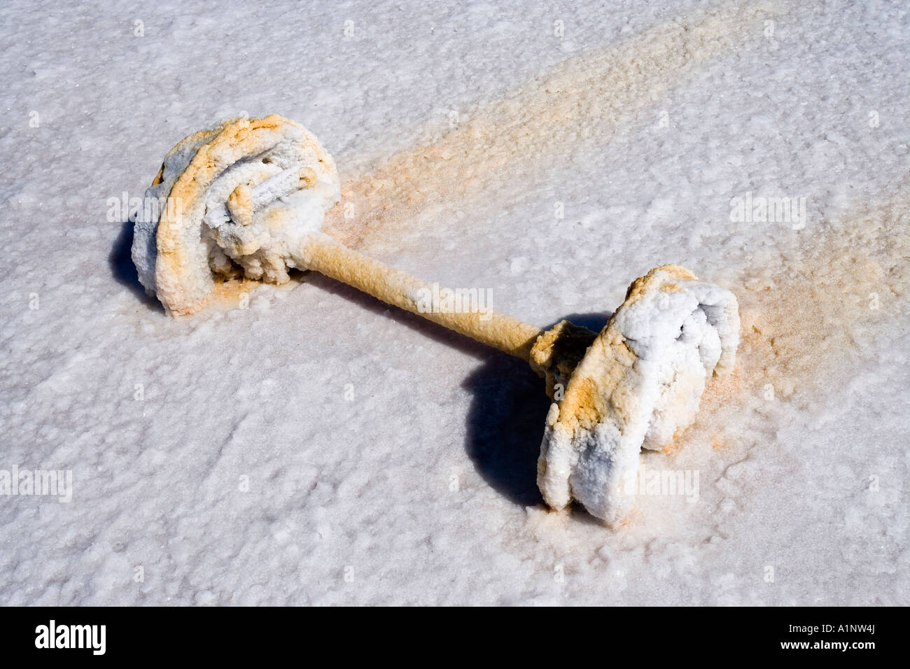 Railway Wagon Wheels Lake Hart Stuart Highway near Woomera Outback South Australia Australia