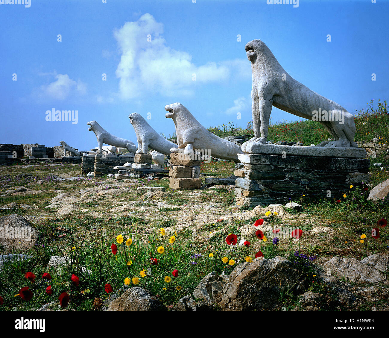 GR - ISLAND OF DELOS:  Terrace of the Lions Stock Photo