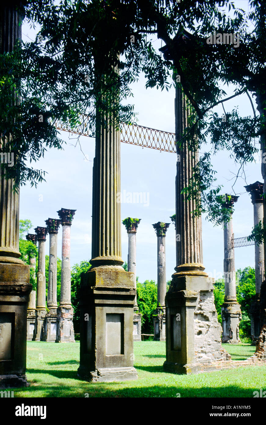 Ruins of the Windsor mansion plantation house near Port Gibson, Alcorn