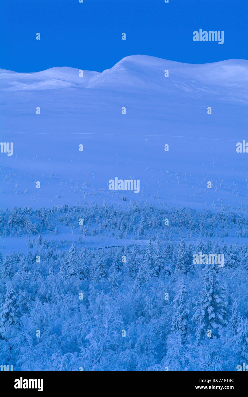 Winter landscape of Scandinavia Stock Photo