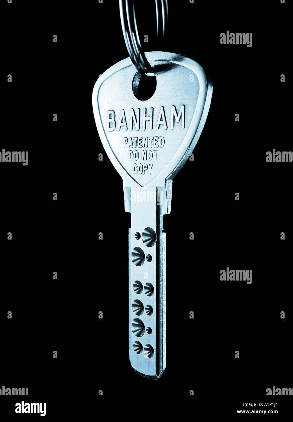 Silvery blue Banham Key. Picture by Patrick Steel patricksteel Stock Photo Alamy