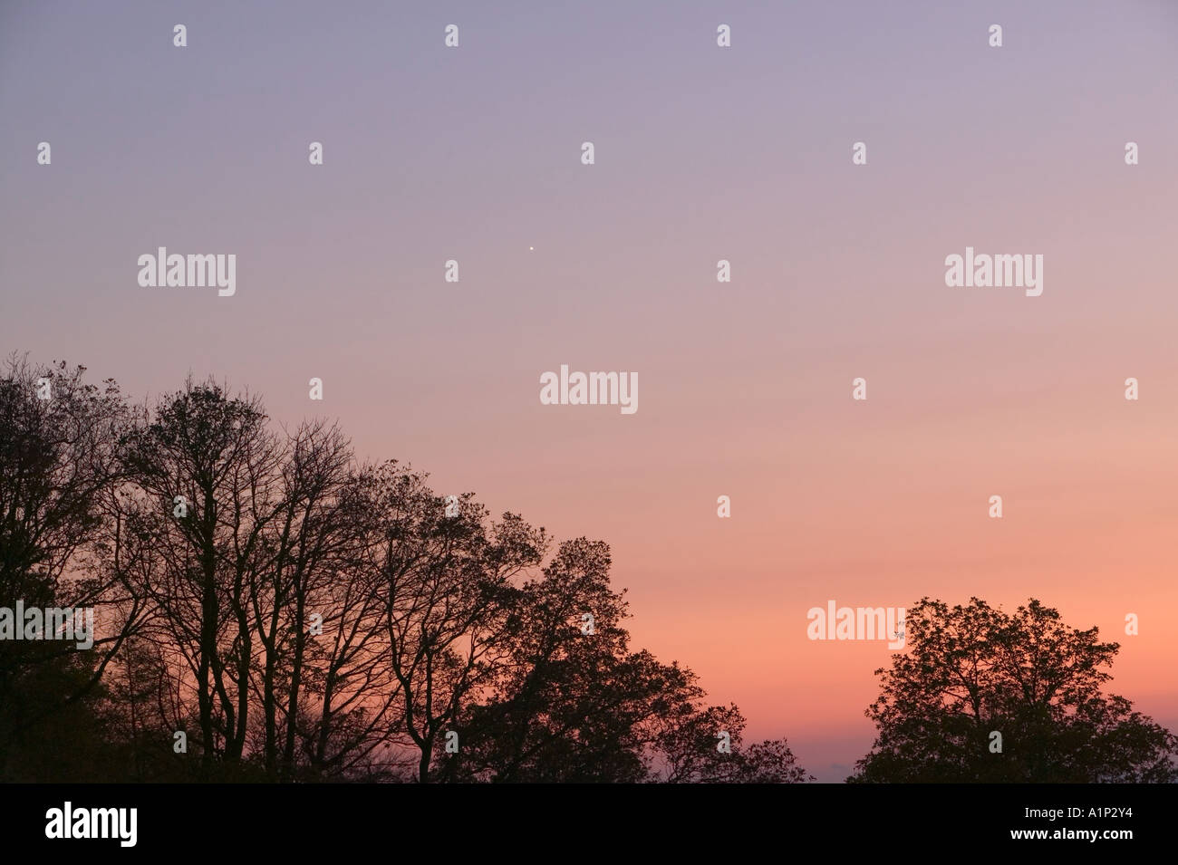 Night sky venus hi-res stock photography and images - Alamy