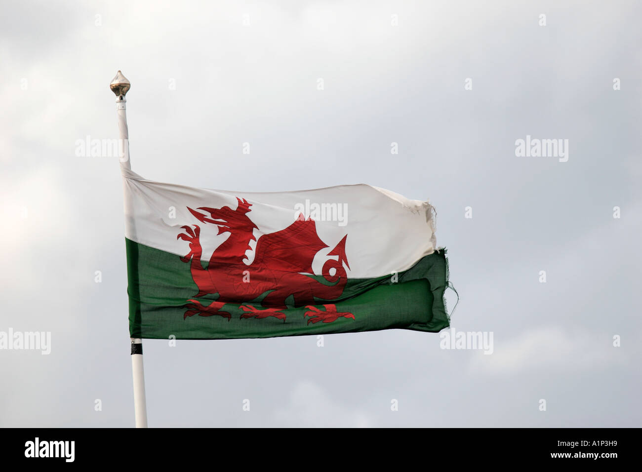 THE FLAG OF WALES FLYING FROM A FLAGPOLE IN THE BREEZE. Stock Photo