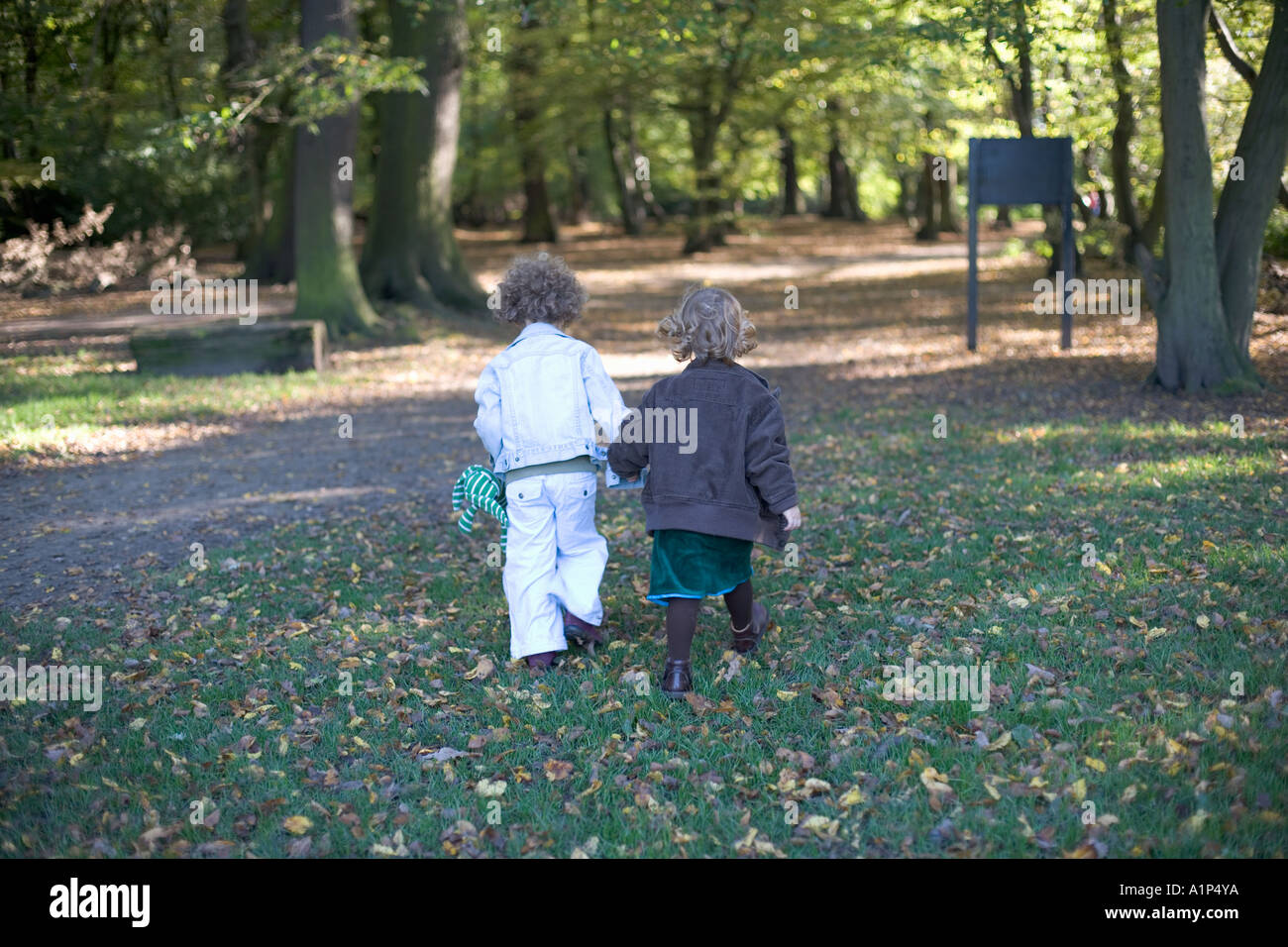 Two young girls walking in woods hand in hand Stock Photo - Alamy