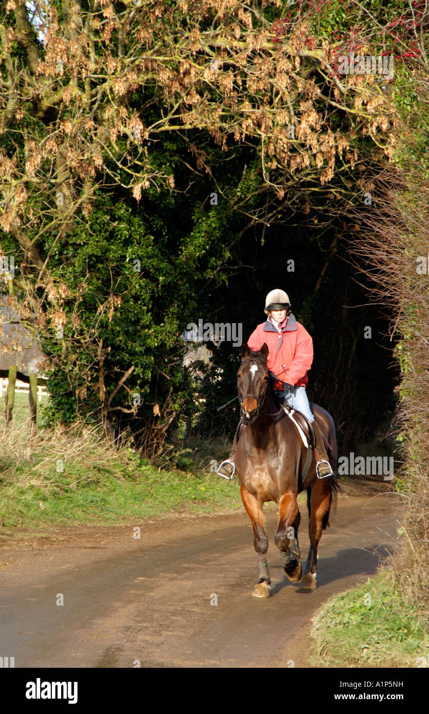 Horse and rider on a country lane in the English countryside UK