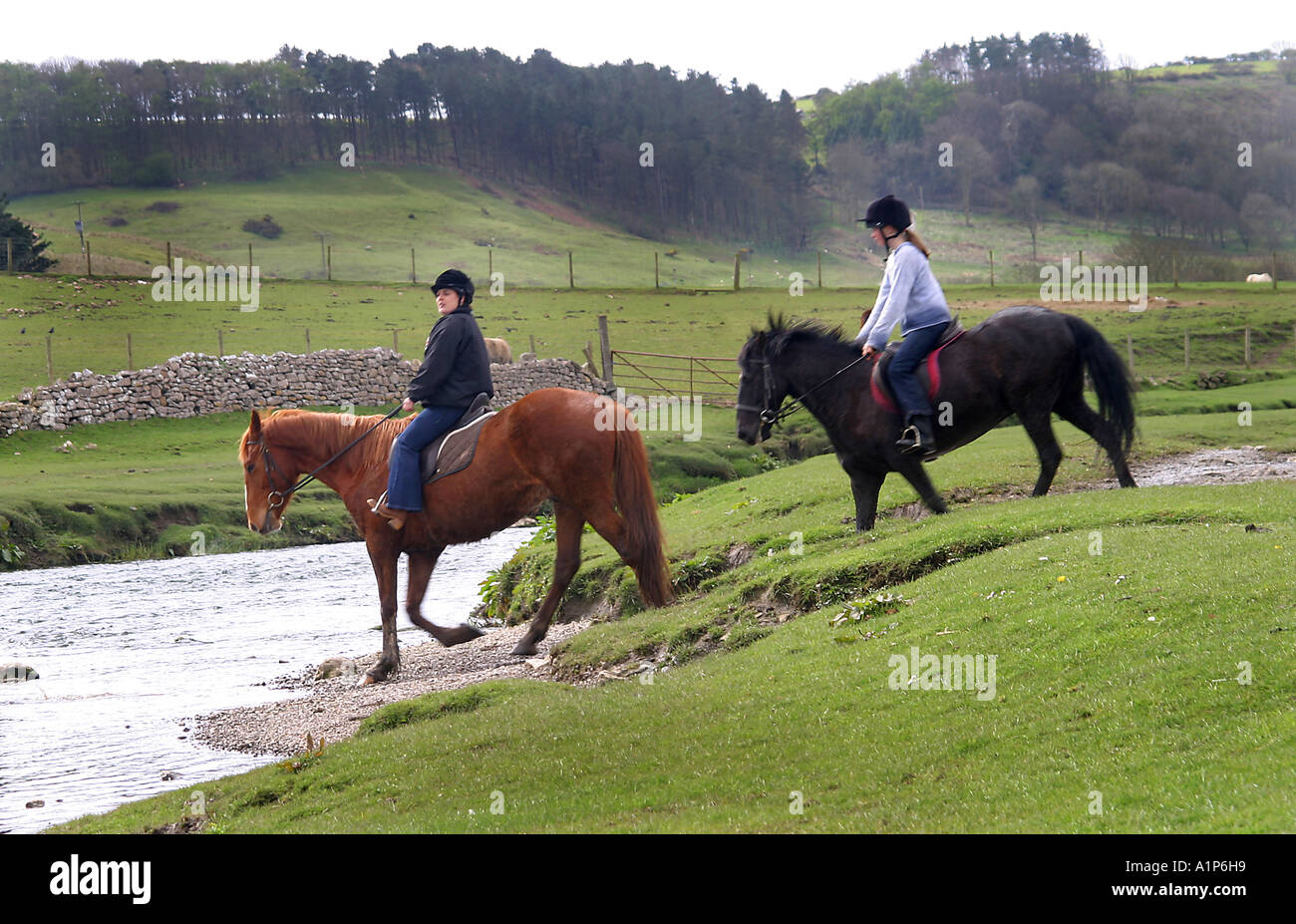 Horses ogmore river hires stock photography and images Alamy
