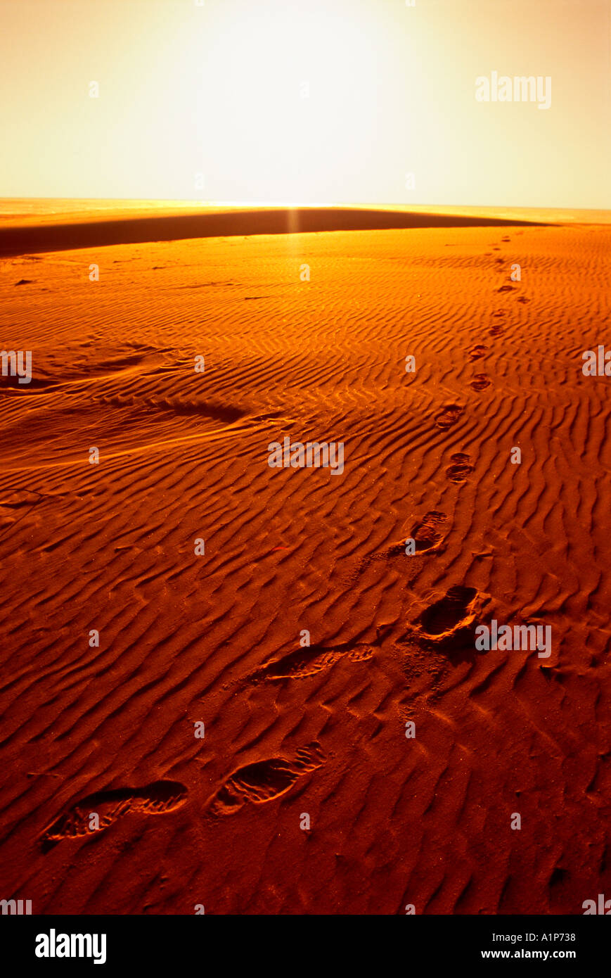 sand dunes National Seashore South Padre Island Texas Stock Photo Alamy