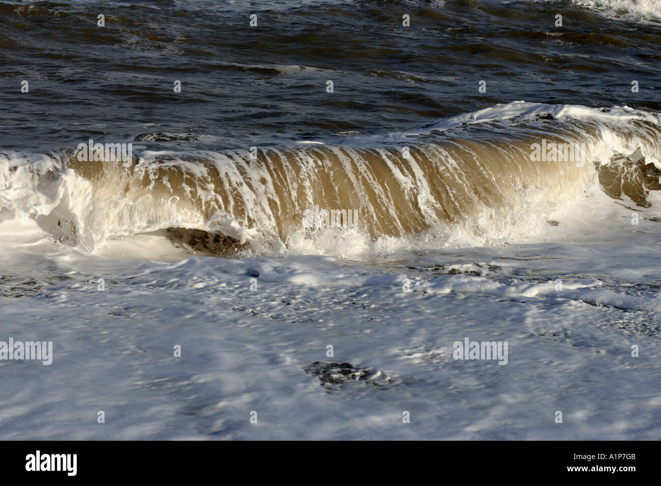 Wave breaking on the shore Stock Photo