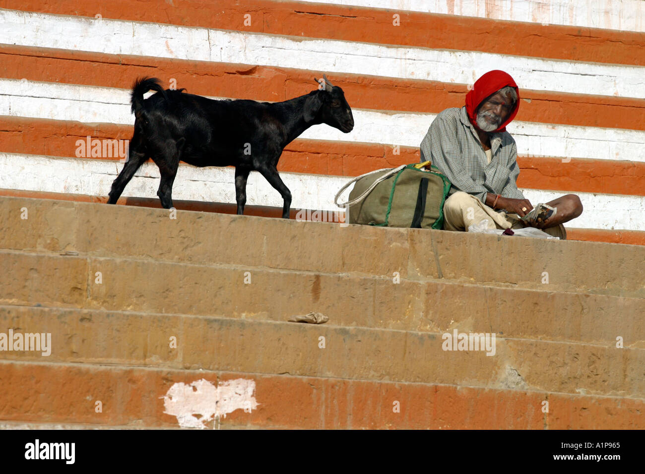 Goat man hi-res stock photography and images - Page 32 - Alamy